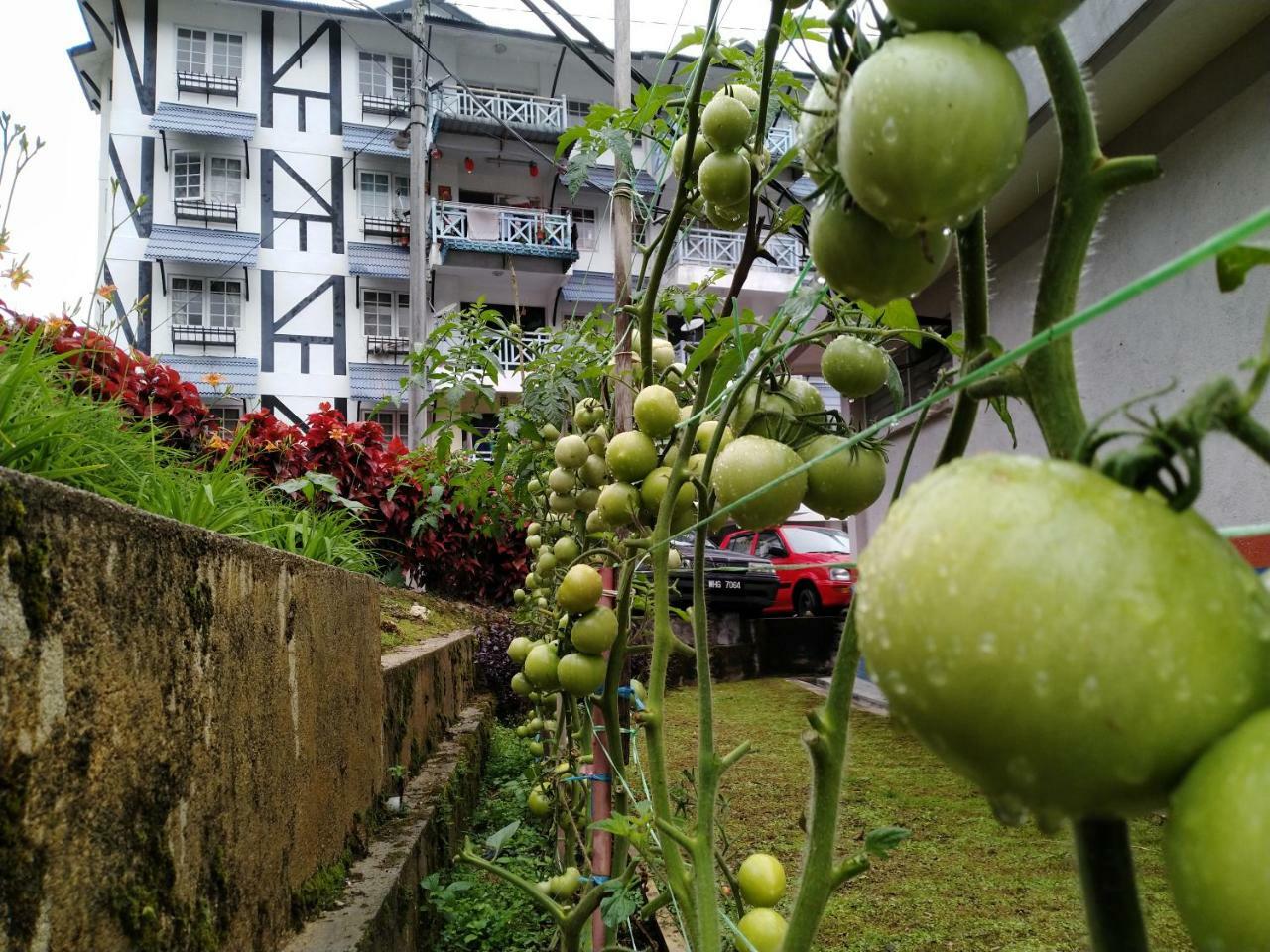 Desa Anthurium Apartamento Cameron Highlands Exterior foto