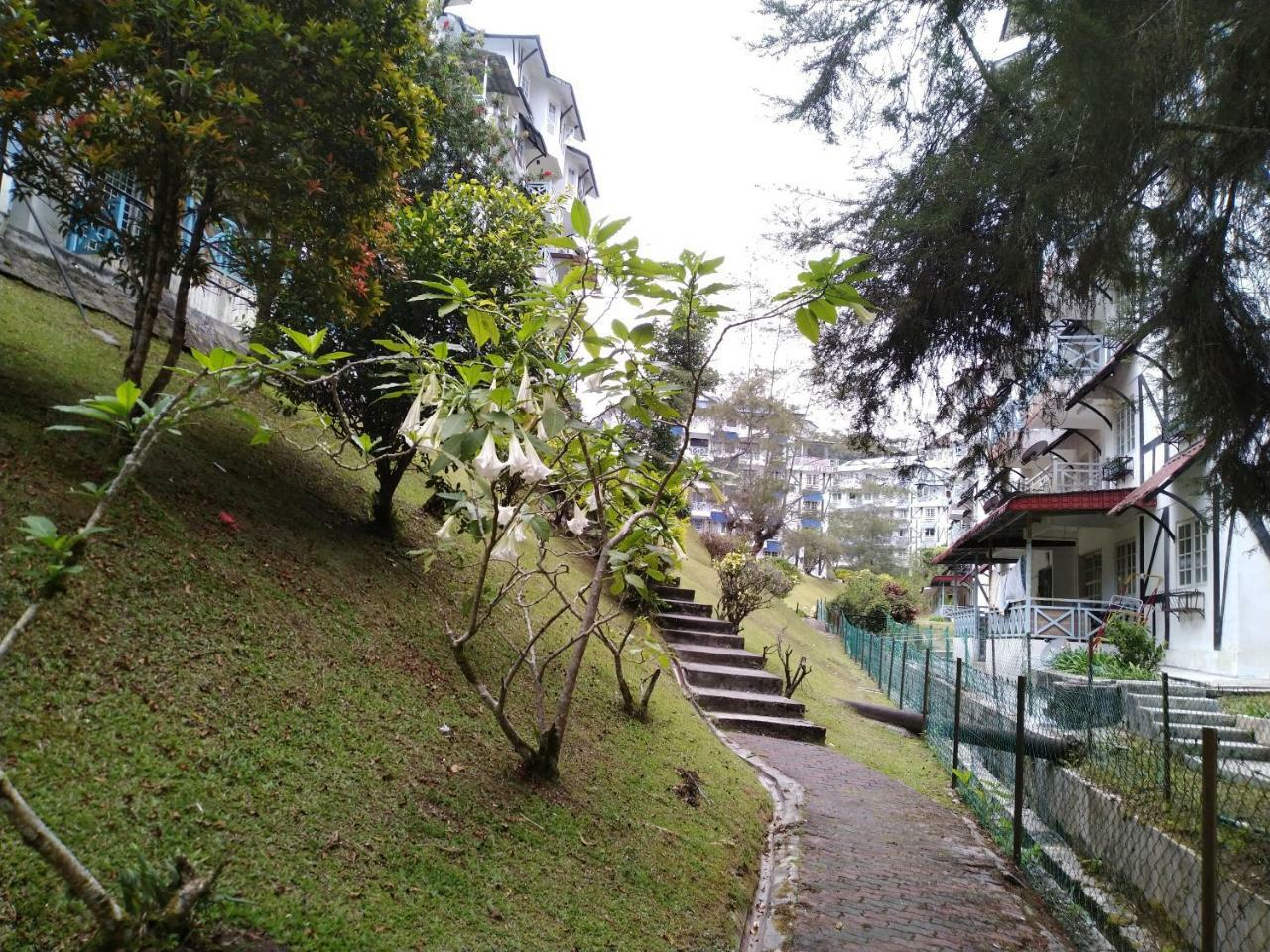 Desa Anthurium Apartamento Cameron Highlands Exterior foto